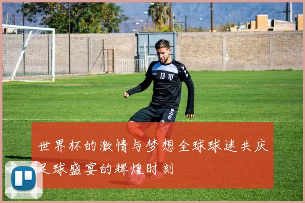 世界杯的激情与梦想全球球迷共庆足球盛宴的辉煌时刻