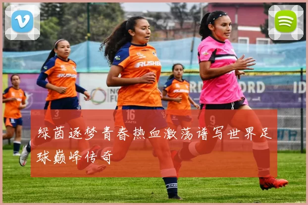 绿茵逐梦青春热血激荡谱写世界足球巅峰传奇