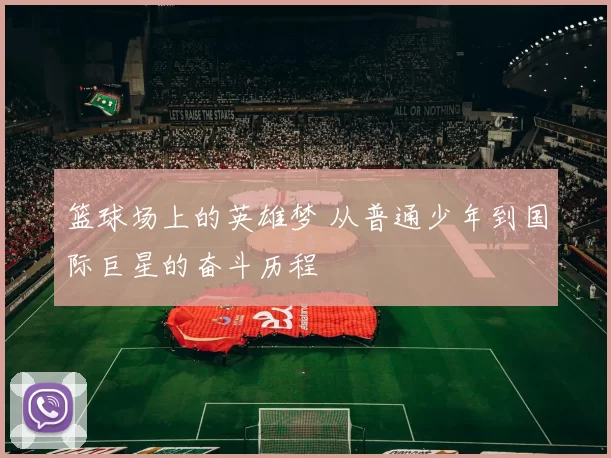 篮球场上的英雄梦 从普通少年到国际巨星的奋斗历程