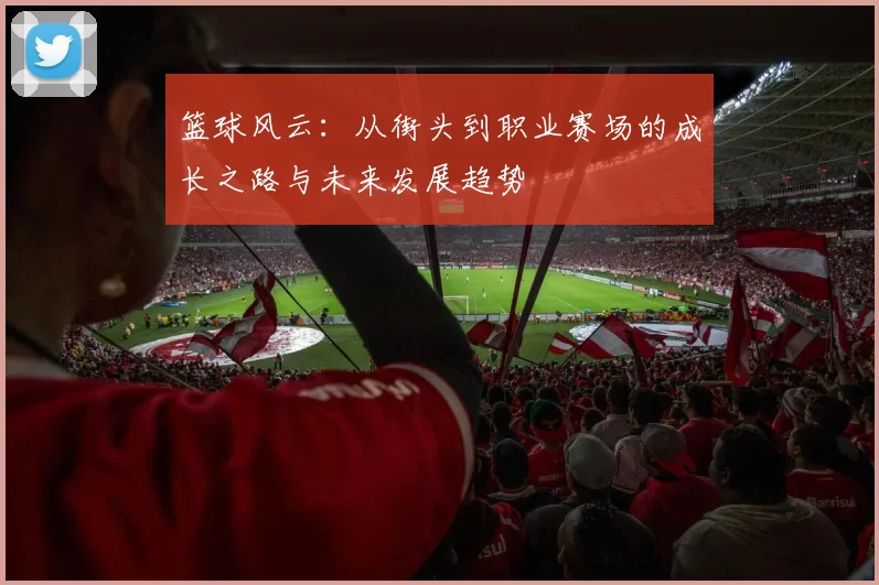 篮球风云：从街头到职业赛场的成长之路与未来发展趋势