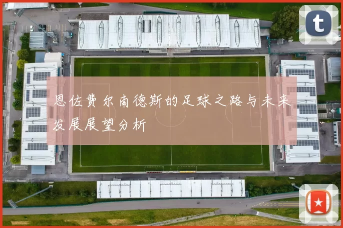 恩佐费尔南德斯的足球之路与未来发展展望分析